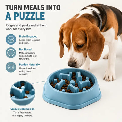 Dog Slow Feeder Bowl - Non-Toxic Polypropylene Plastic Dish with Stable Non-Slip Base, Easy to Clean, Regulates Eating Pace, Suitable for Dry and Wet Food