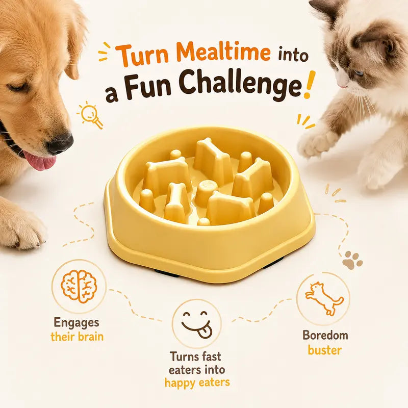 Dog Slow Feeder Bowl - Non-Toxic Polypropylene Plastic Dish with Stable Non-Slip Base, Easy to Clean, Regulates Eating Pace, Suitable for Dry and Wet Food