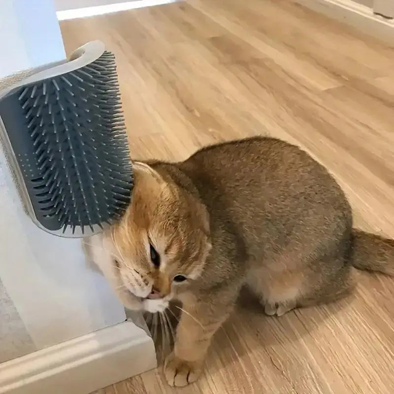 Cat Corner Brush - Soft Massage Self-Grooming Tool for Cats and Dogs, 1 Count Interactive Home Entertainment Accessory