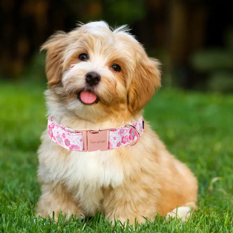 Unique Style Paws Adjustable Dog Collars - Metal Buckle Stays Secure, Double-Stitched, Anti-Slipping Antiskid Buckle, Durable Cute Pet Accessory for Small Medium Large Dogs, Back to School Tiktok Shop Soho Chic
