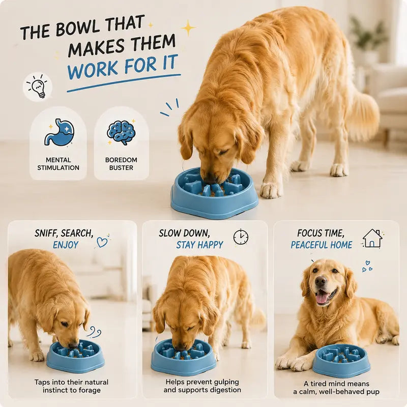 Dog Slow Feeder Bowl - Non-Toxic Polypropylene Plastic Dish with Stable Non-Slip Base, Easy to Clean, Regulates Eating Pace, Suitable for Dry and Wet Food