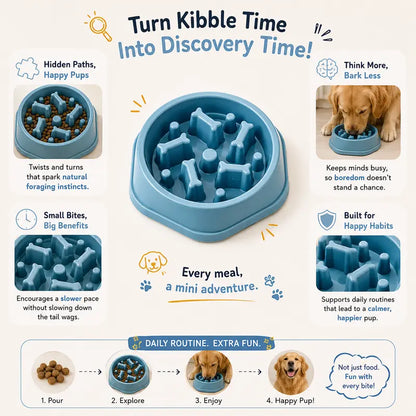 Dog Slow Feeder Bowl - Non-Toxic Polypropylene Plastic Dish with Stable Non-Slip Base, Easy to Clean, Regulates Eating Pace, Suitable for Dry and Wet Food