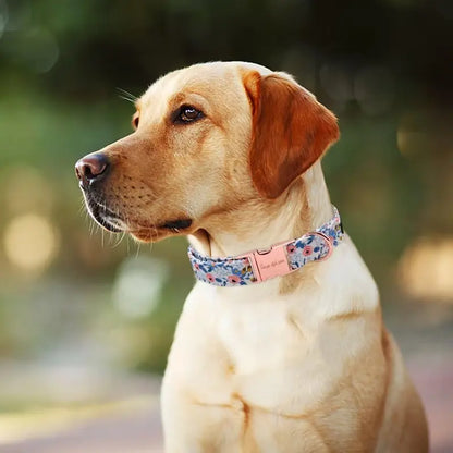 Unique Style Paws Adjustable Dog Collars - Metal Buckle Stays Secure, Double-Stitched, Anti-Slipping Antiskid Buckle, Durable Cute Pet Accessory for Small Medium Large Dogs, Back to School Tiktok Shop Soho Chic