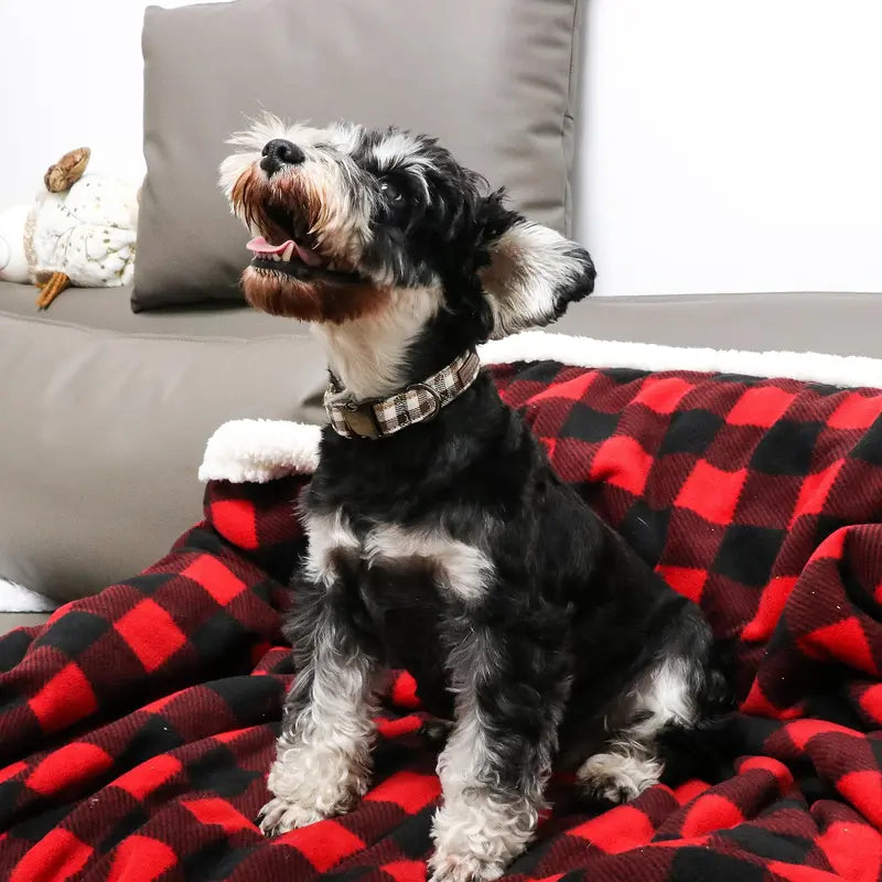 Unique Style Paws Adjustable Dog Collars - Metal Buckle Stays Secure, Double-Stitched, Anti-Slipping Antiskid Buckle, Durable Cute Pet Accessory for Small Medium Large Dogs, Back to School Tiktok Shop Soho Chic