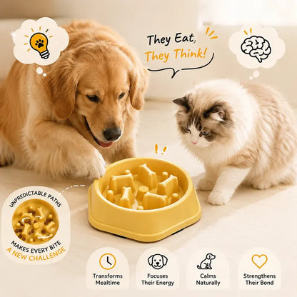Dog Slow Feeder Bowl - Non-Toxic Polypropylene Plastic Dish with Stable Non-Slip Base, Easy to Clean, Regulates Eating Pace, Suitable for Dry and Wet Food