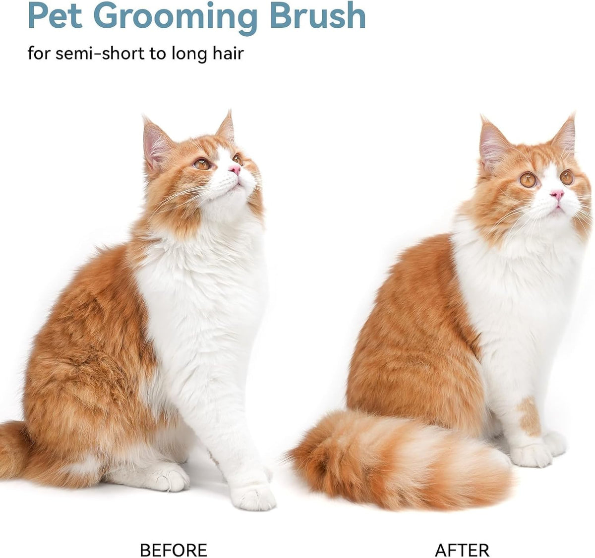 Self-Cleaning Slicker Brush for Dogs and Cats - Gentle Grooming Tool for Effective Shedding and Deshedding of Long and Short Haired Pets